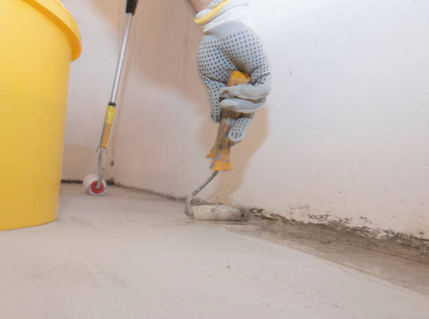 Best Pest Prevention Services  in Jefferson, MD